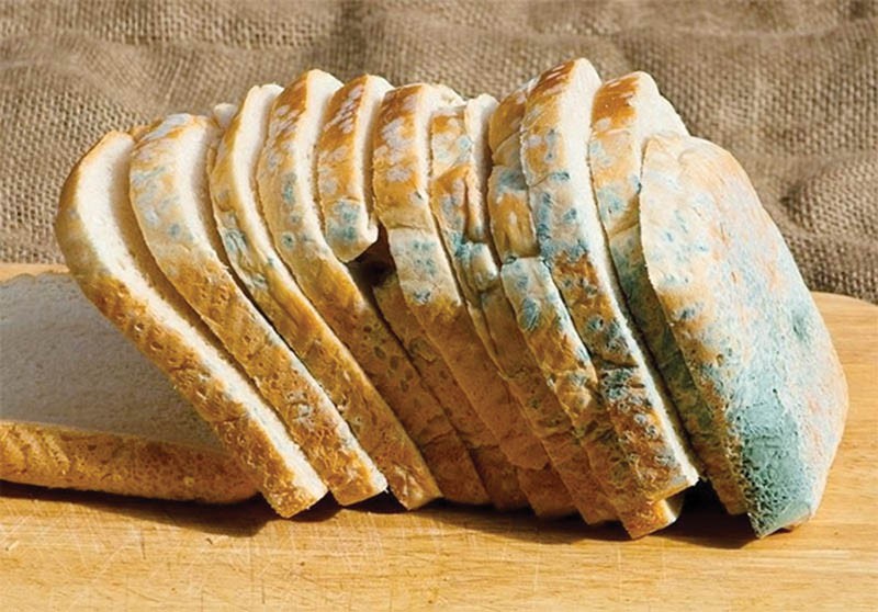 Past due: Food safety standards are in the spotlight. PIC: FOOD- HACKS.COM