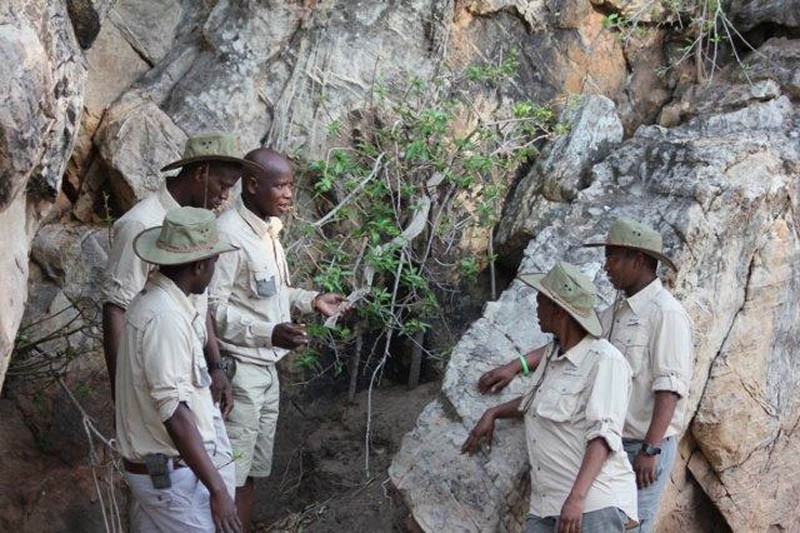 Trainees at work during an early  morning session