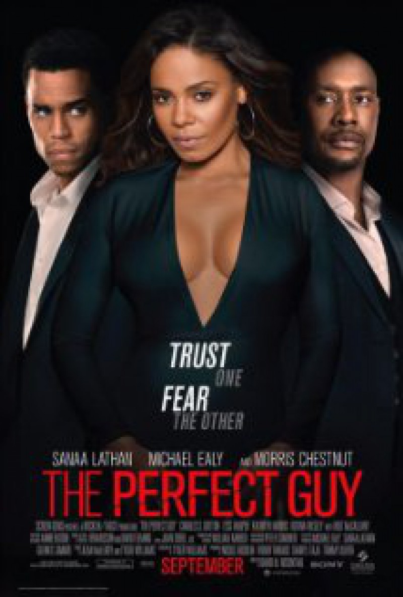 The Perfect Guy Poster
