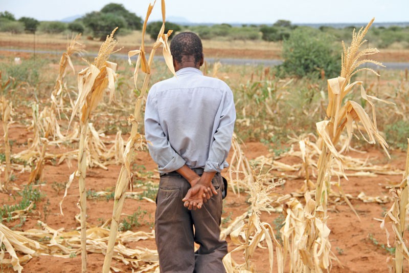One of the fields in Kweneng region