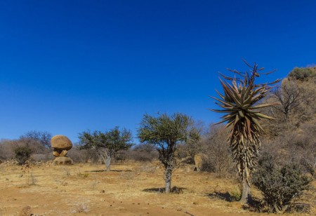 Birth of Botswana - Today is the 164th anniversary of the Battle of ...