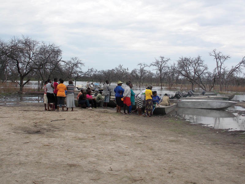 Lake Ngami, a beehive of activities