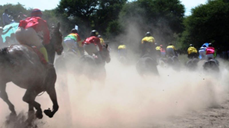 Raising interest: Horse racing is fast gaining popularity PIC: BONIFACE KEAKABETSE 