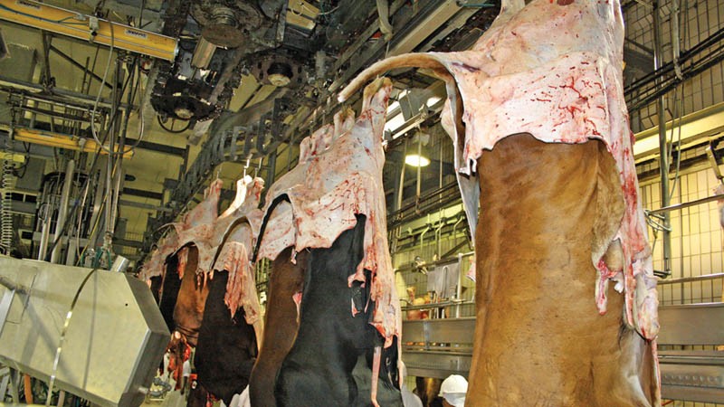 BMC abattoir: The management says it has capacity to meet the Norway Beef Qouta