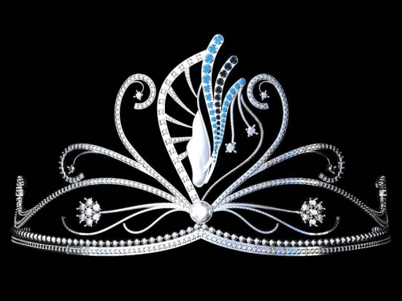  The theme of the initiative is u00e2u20acu02dcthe noble womanu00e2u20acu2122 which also happens to be the name of last yearu00e2u20acu2122s crown